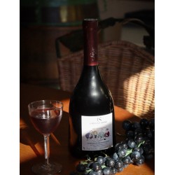 Coteaux Champenois 2023